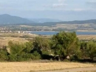Продается земельный участок у озера Базалети, Грузия. Фото 1