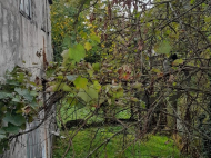House for sale with a plot of land in Ozurgeti, Georgia. Photo 32