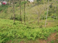 Ground area ( A plot of land ) for sale in Chakvi, Georgia. Land with sea view. Photo 7