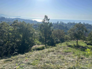 Продается земельный участок у моря. Букнари, Грузия. Участок с видом на море. Фото 3