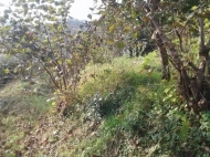 a plot of land for sale in the vicinity of Batumi Photo 4