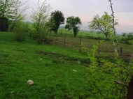 Продается земельный участок с фермой в пригороде Зестафони, Грузия. Действующий бизнес. Фото 10