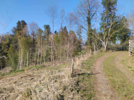 იყიდება მიწის ნაკვეთი ზღვისა და მთების ხედით ციხისძირში. საქართველო ფოტო 6