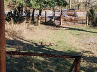 Купить частный дом с земельным участком в пригороде Самтредиа, Грузия. Фото 10