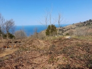 Land for sale near the sea in Sarpi, Georgia. Photo 3