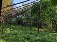 Купить дом в курортном районе Озургети, Грузия. Фото 13