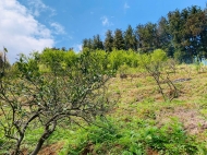 Продается земельный участок с прекрасным видом на горы в Тхилнари, Аджария, Грузия. Фото 2