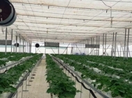 An existing agricultural complex for sale. Commercial real estate for sale in the suburbs of Tbilisi, Georgia.  Photo 2