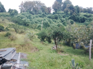 Купить дом с земельным участком в пригороде Озургети, Грузия. Фото 5