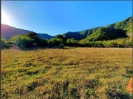 Продается земельный участок в живописном месте. Земельный участок в курортной зоне Боржоми, Грузия. Фото 1