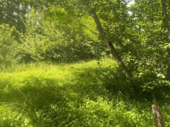 Продается земельный участок у моря в Шекветили, Грузия. Фото 4