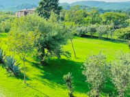 ყიდვა კერძო სახლის მიწის ნაკვეთით სენაკში, საქართველო. მდინარესთან. ფოტო 3