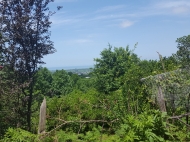 Земельный участок в пригороде Батуми. Участок с видом на море и горы в Ахалсопели, Грузия. Фото 4