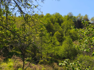 Продается земельный участок у моря. Букнари, Грузия. Участок с видом на море. Фото 3