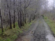 House for sale in a resort district of Chakvi, Georgia. Tangerine garden. Sea view. Photo 12