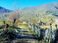 Купить земельный участок в курортной зоне Цхалтубо, Грузия. Фото 2