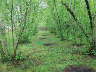 Купить частный дом с земельным участком в пригороде Озургети, Грузия. Фото 3