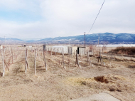 House for sale with a plot of land in the suburbs of Tbilisi, Natakhtari. Photo 2