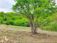Land parcel, Ground area for sale in a picturesque place. Photo 5