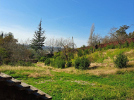 Купить дом с земельным участком в пригороде Сенаки, Грузия. Мандариновый сад, Фруктовый сад. Ореховый сад. Фото 2