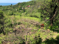 Участок у серных вод в курортном районе Махинджаури, Грузия. Фото 3