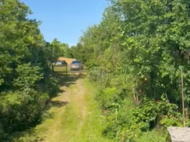 House for sale with a plot of land in the suburbs of Ozurgeti, Georgia. Tangerine garden, Orchard. Walnut garden. Near the river. Photo 13