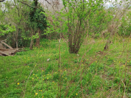 ყიდვა კერძო სახლის მიწის ნაკვეთით სამტრედიაში, საქართველო. ფოტო 2