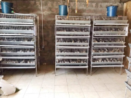 An existing agricultural complex for sale. Erghe, Georgia. Photo 3