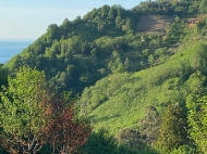 Земельный участок на продажу у моря в Сарпи, Грузия. Вид на море и горы. Фото 8