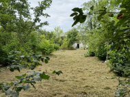 House for sale with a plot of land in the suburbs of Ozurgeti, Georgia. Near the river. Photo 17