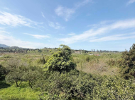 Купить частный дом в курортном районе Кобулети, Грузия. Фото 22