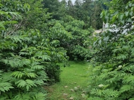 Land parcel, Ground area for sale in the suburbs of Batumi, Ortabatumi. Photo 3