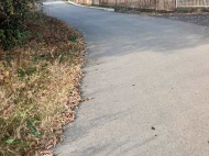 ყიდვა კერძო სახლის მიწის ნაკვეთით ოზურგეთი, საქართველო. ფოტო 2