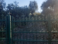 Купить земельный участок в Супса, Грузия. Мандариновый сад, Фруктовый сад. Фото 5