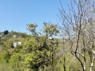 ვიყიდი კერძო სახლს საკურორტო რაიონში ბობოყვათში, საქართველო. ფოტო 7