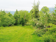 House for sale with a plot of land in Natanеbi. House for sale in a resort district of Natanebi, Georgia. Photo 8