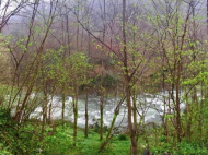 Buy a house by the river near Ozurgeti, Georgia. Forested area, resort area, very beautiful location. Photo 3