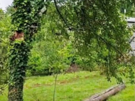 Продается частный дом с земельным участком в Натанеби. Купить дом в курортном районе Натанеби, Грузия. Фото 15