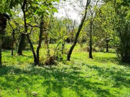 Купить дом в курортном районе Цхалтубо, Грузия. Фруктовый сад. У реки. Фото 6
