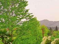 House for sale in a resort district of Chakvi, Georgia. Photo 6