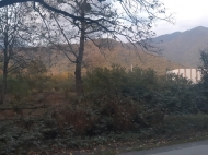 Земельный участок на продажу в Кварели, Кахетия, Грузия. Участок для инвестиций. Фото 4