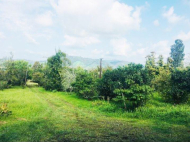House for sale with a plot of land in Natanеbi, Georgia. Photo 4