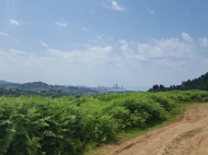 Ground area (A plot of land) for sale in a quiet district of Batumi, Georgia. Land parcel with sea view and the city. Photo 2