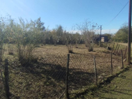 House for sale with a plot of land in Zugdidi, Georgia. Photo 5