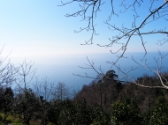 Sale land in Sarphi with seaview 2000 m2  $50 000 Photo 1