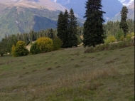 Ground area for sale in Mestia. Samegrelo-Zemo Svaneti, Georgia. Land parcel for sale in a picturesque place. Photo 5