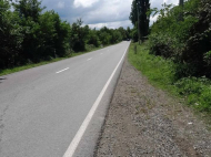 Land parcel, Ground area for sale in Natanebi, Georgia. Photo 2