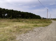 Land for sale is beneficial for investment. Photo 2