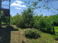 Купить дом с земельным участком в пригороде Супса, Грузия. Фруктовый сад. Природный родник. Фото 12