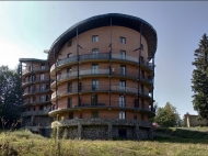 Flat in the "House in the forest", Bakuriani Photo 1